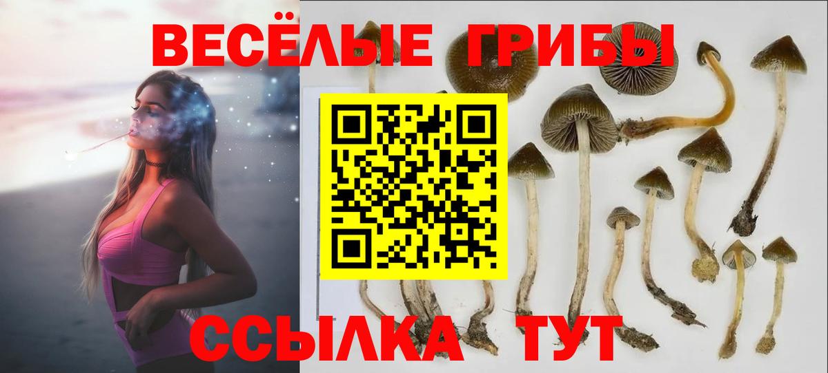 Сыктывкар  Псилоцибиновые грибы мицелий  Псилоцибиновые грибы MAGIC MUSHROOMS  Вход с VPN 