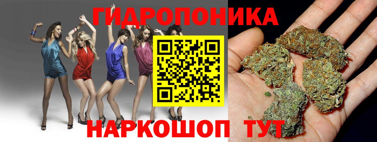 Шишки марихуана OG Kush Сыктывкар